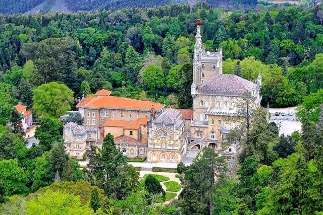 Lugar Mata Nacional do Buçaco