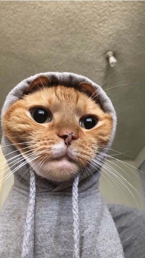 OMG 