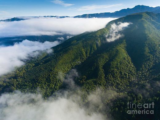 Pico da Pedra