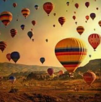 Lugar Africam Safari