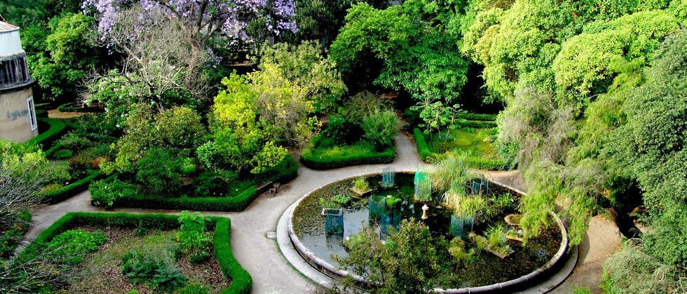 Place Jardín Botánico de la Universidad de Lisboa