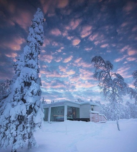 NORTHERN LIGHTS RANCH 