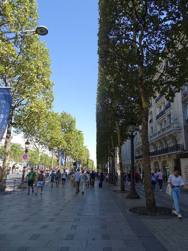 Lugar Avenue des Champs-Élysées