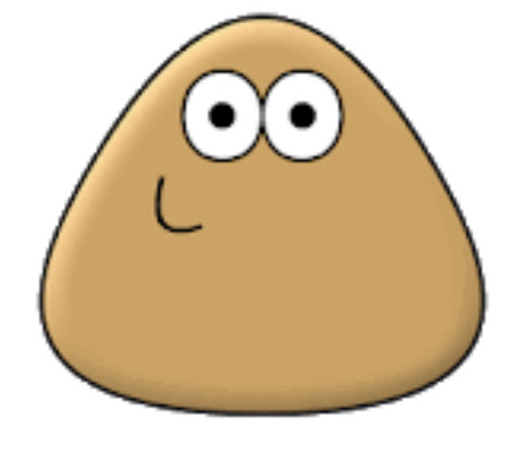 Pou