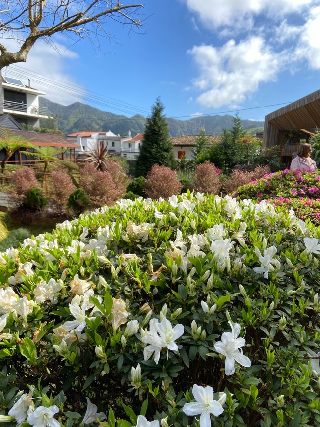 Lugar Poça da Dona Beija