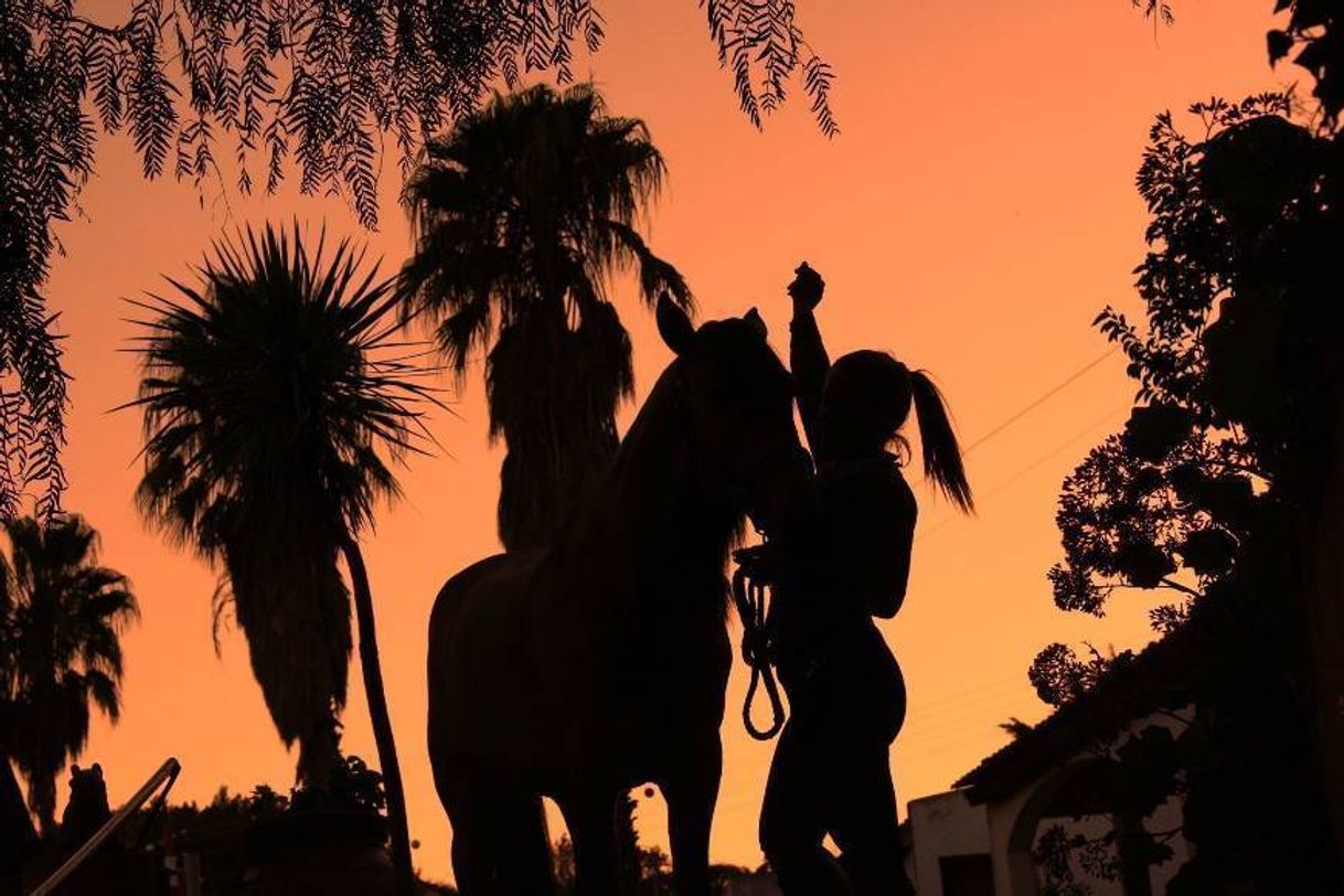 Places Centro Equestre da Lezíria Grande