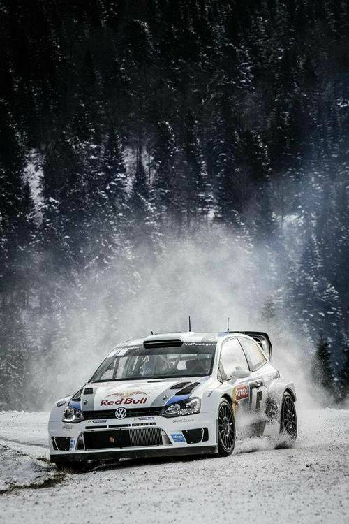 Moda Rally / WRC