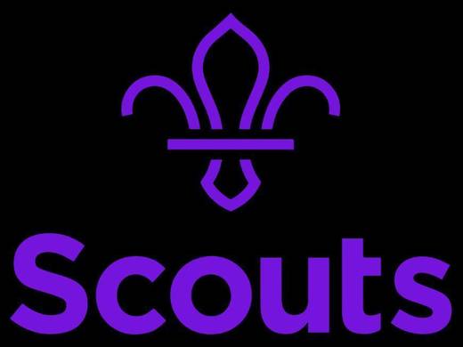 Scouts