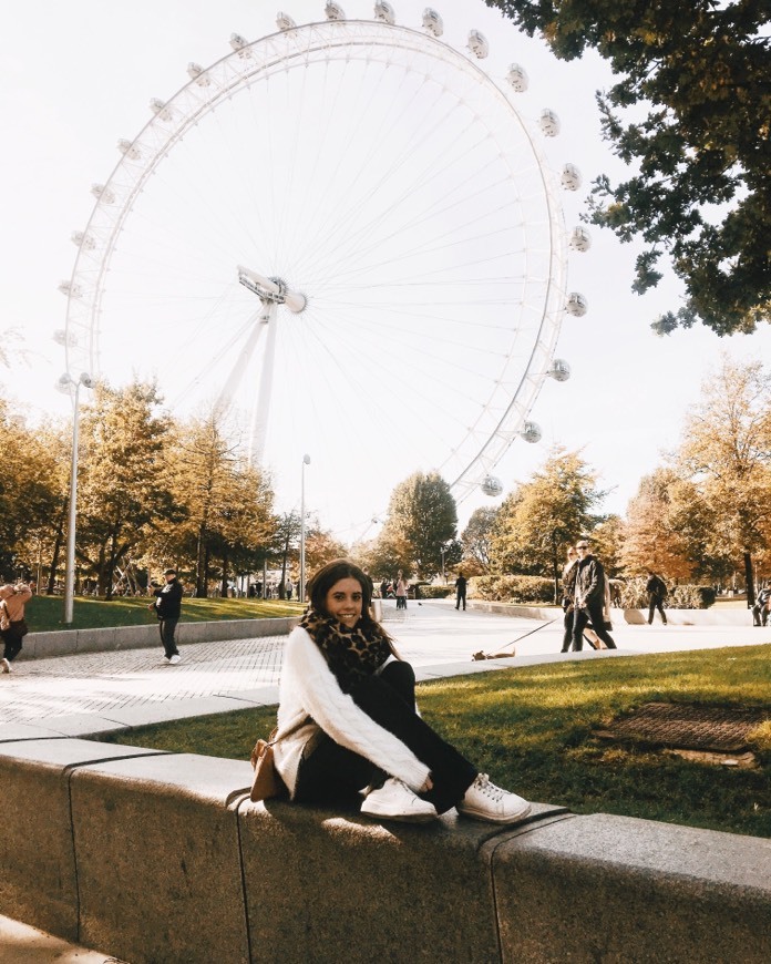 Lugar London Eye