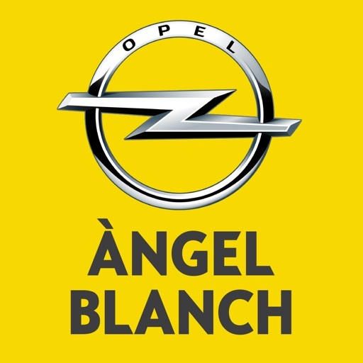 Àngel Blanch S.A.