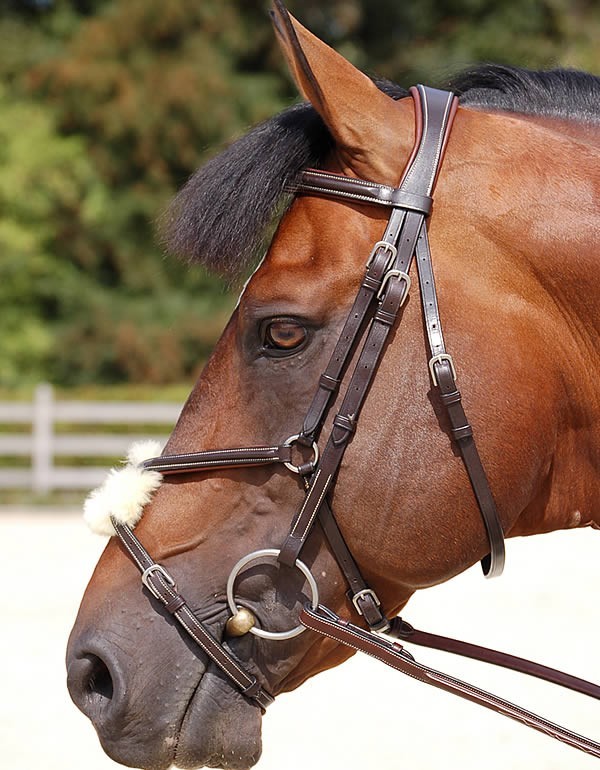 Producto DY'ON "CLASSIC" FIGURE 8 NOSEBAND BRIDLE B163

