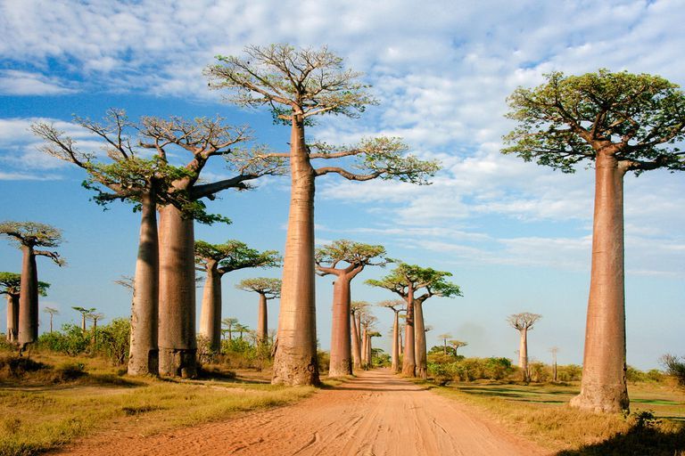 Lugar Madagascar