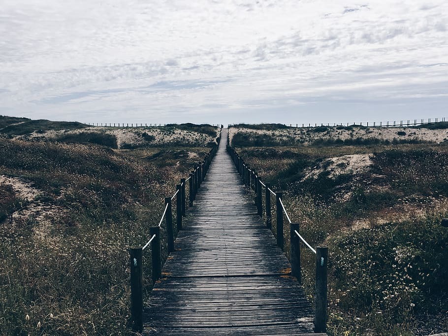 Place Praia da Árvore