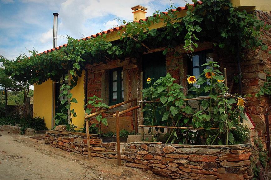 Lugar Quinta do Chão D'Ordem - Turismo Rural