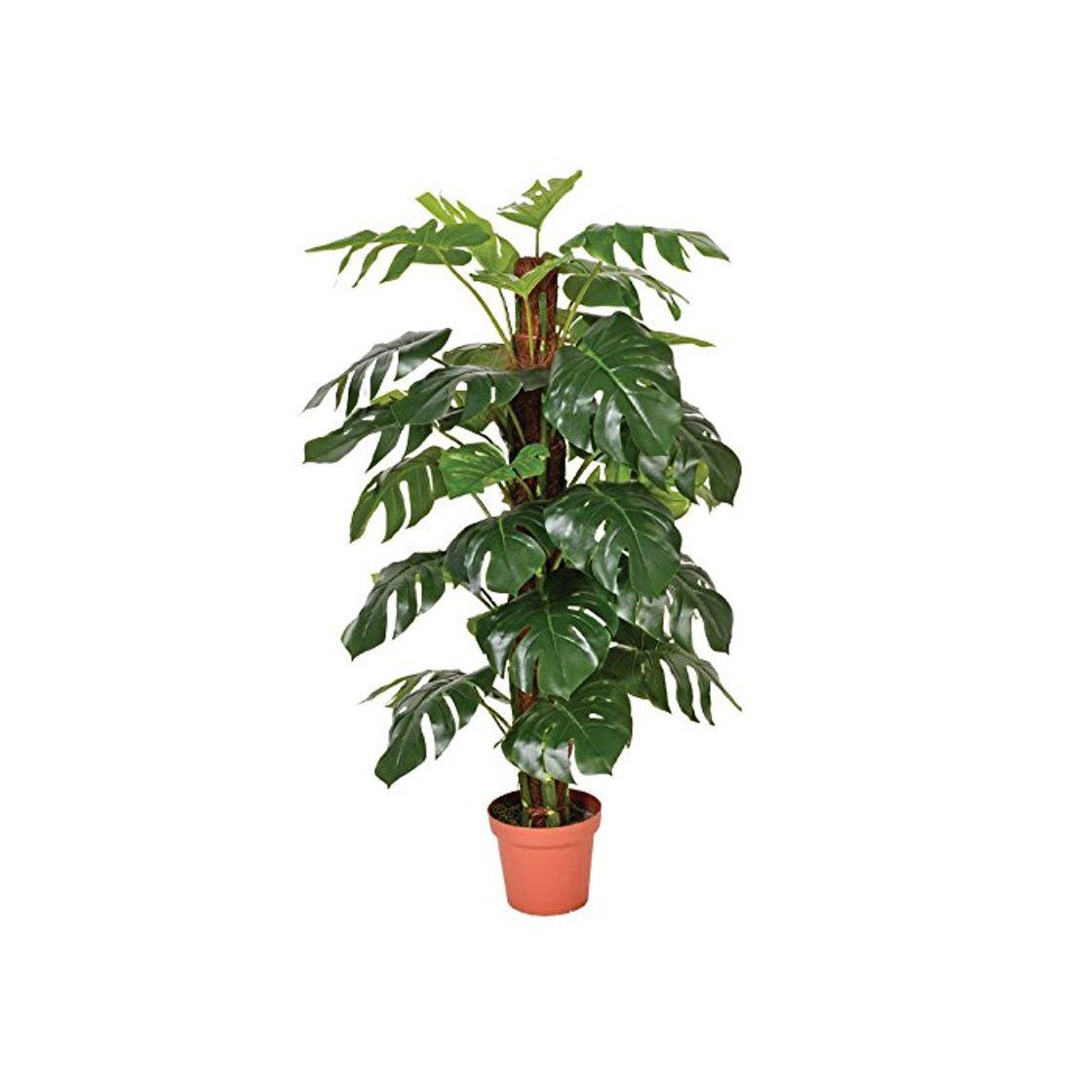 Producto Catral 74010020 Planta artificial Monstera