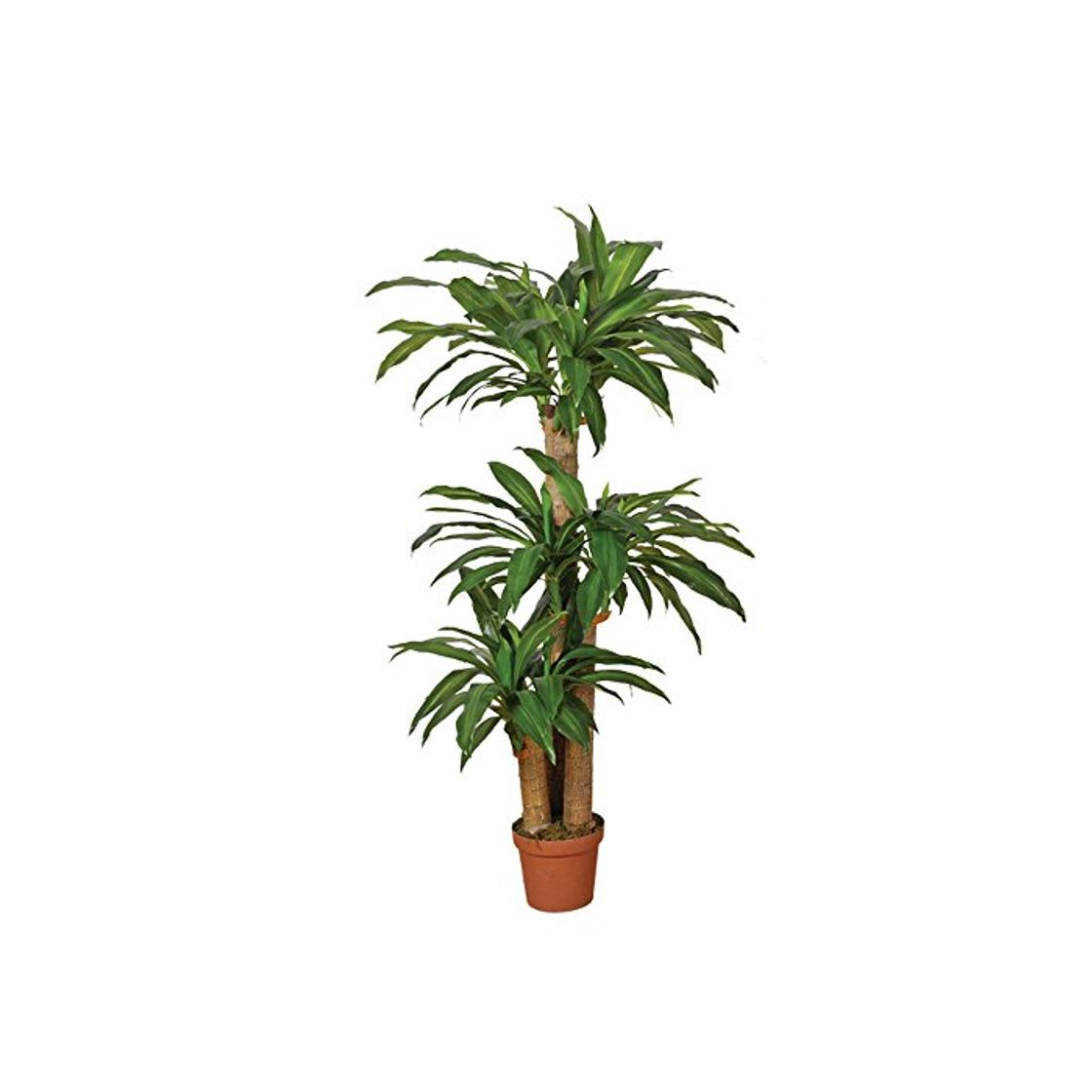 Producto Planta artificial drácena 145 cm altura