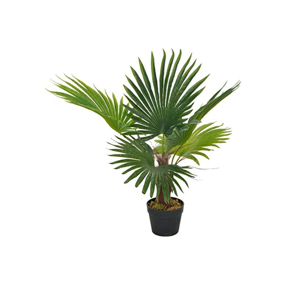 Product vidaXL Planta Artificial Decoración Palmera Maceta Flores Decorativas Realistas Exterior Interior Oficina Hojas Plástico 70 cm Alta Verde Marrón