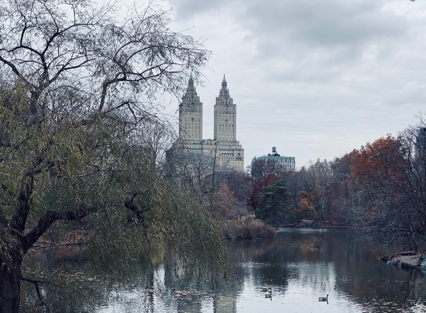 Place Nueva York
