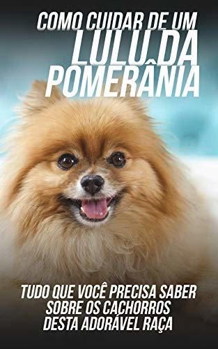 Como Cuidar de Um Lulu da Pomerânia: Tudo Que Você Precisa Saber