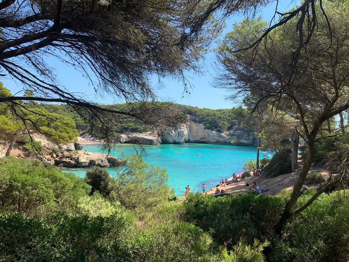 Lugar Cala Mitjaneta