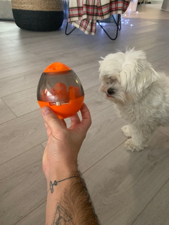 DADYPET Juguetes para Perros, Mascotas Perros Accesorios Pelota Dispensadora de Comida Fácil