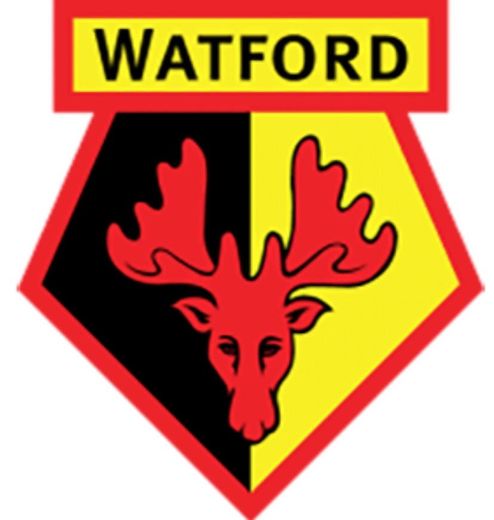 Watford Football Club: Official website of the Hornets