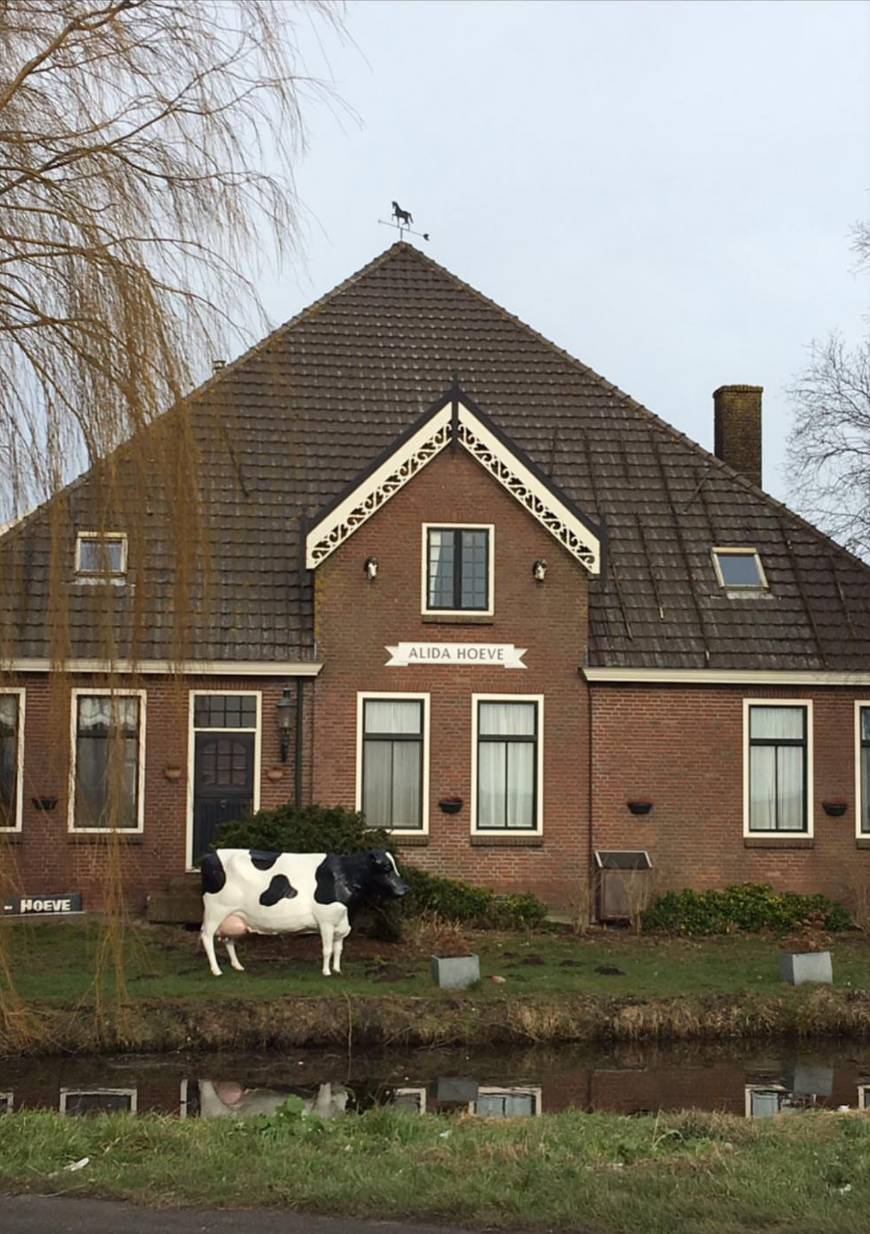 Lugar Cheese Farm "Alida Hoeve"