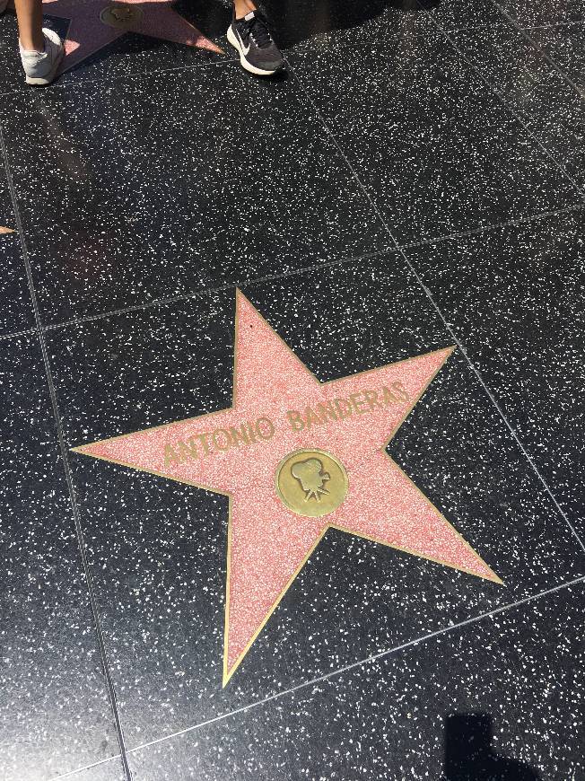 Lugar Hollywood Walk of Fame - Los Angeles - 204