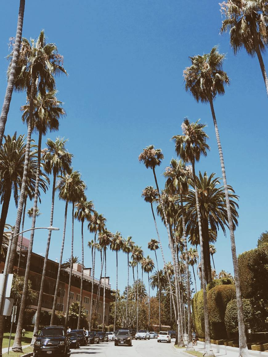 Lugar Beverly Hills