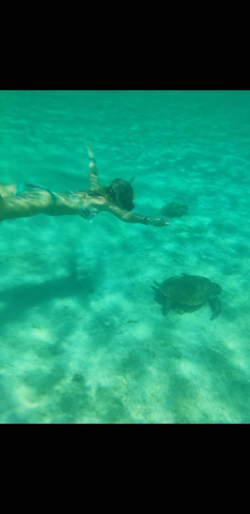 Place Island Hopping in the Philippines