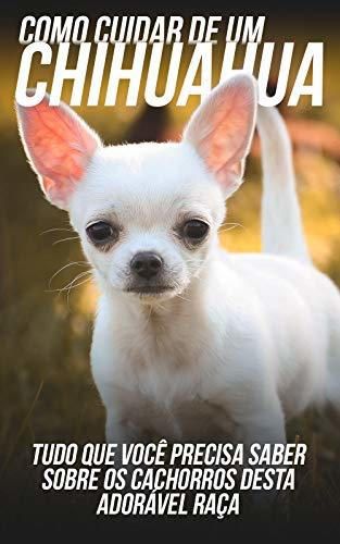 Como Cuidar de Um Chihuahua: Tudo Que Você Precisa Saber Sobre Os