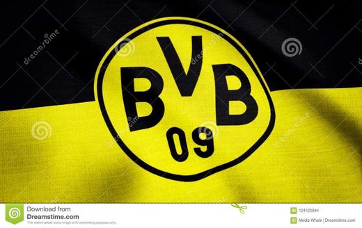 Borussia fc