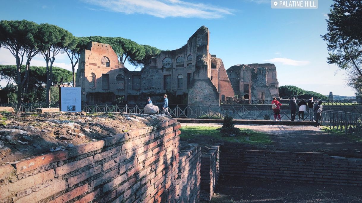 Lugar Museo Palatino - Fori Romani