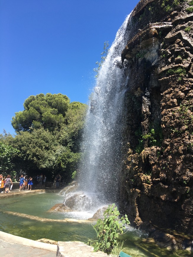 Lugar Parc de la Colline du Château