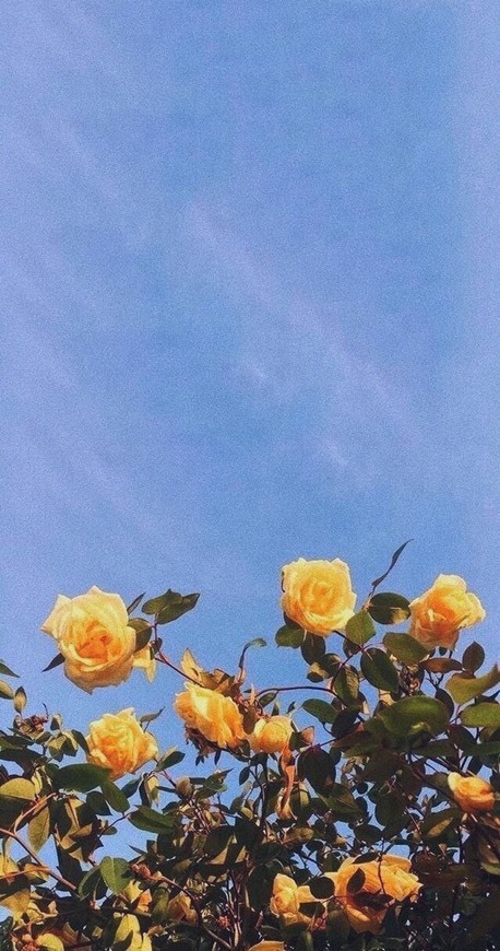 ☀️