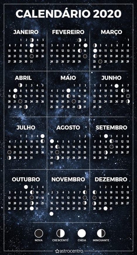 Moda calendário 