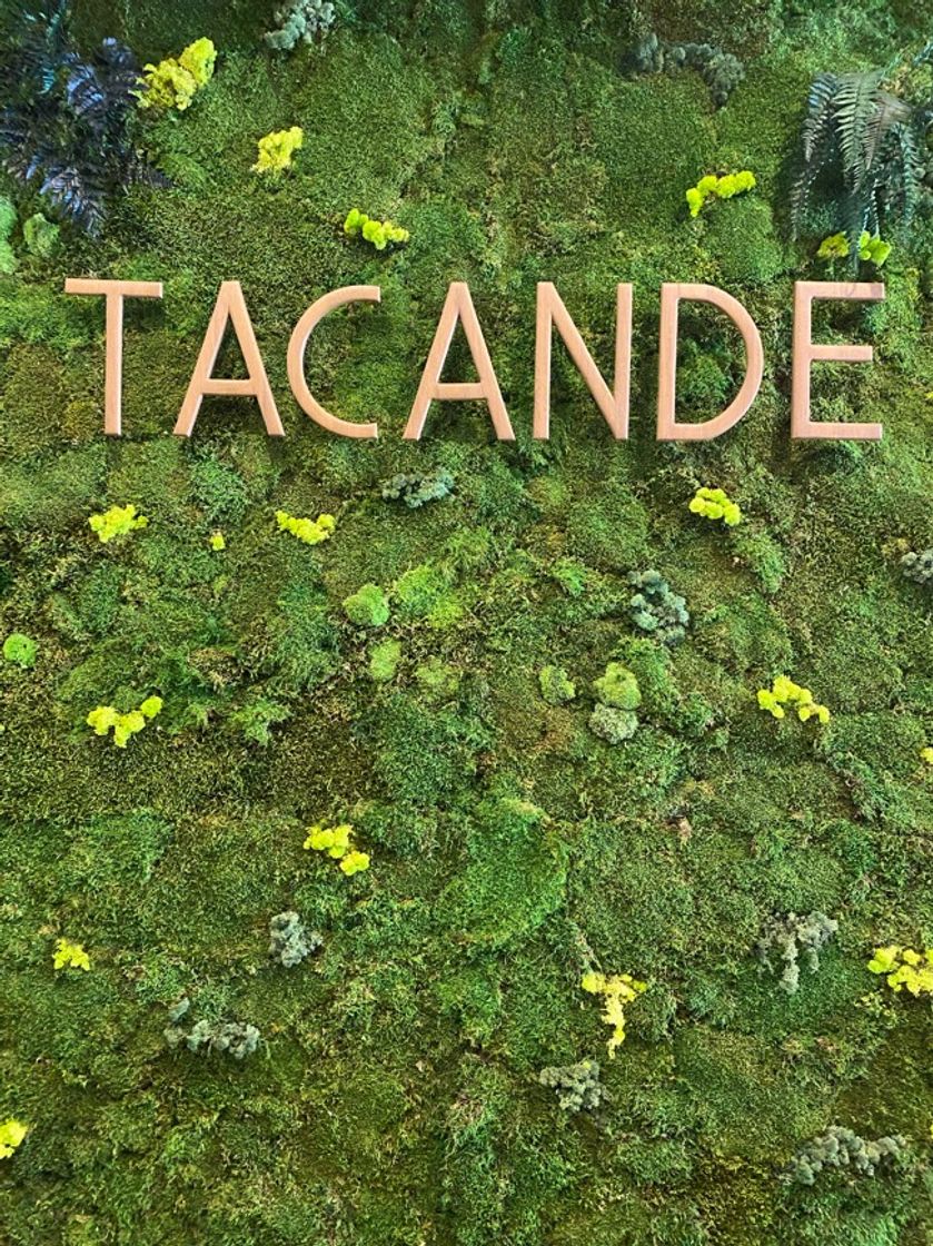 Restaurants Restaurante Tacande