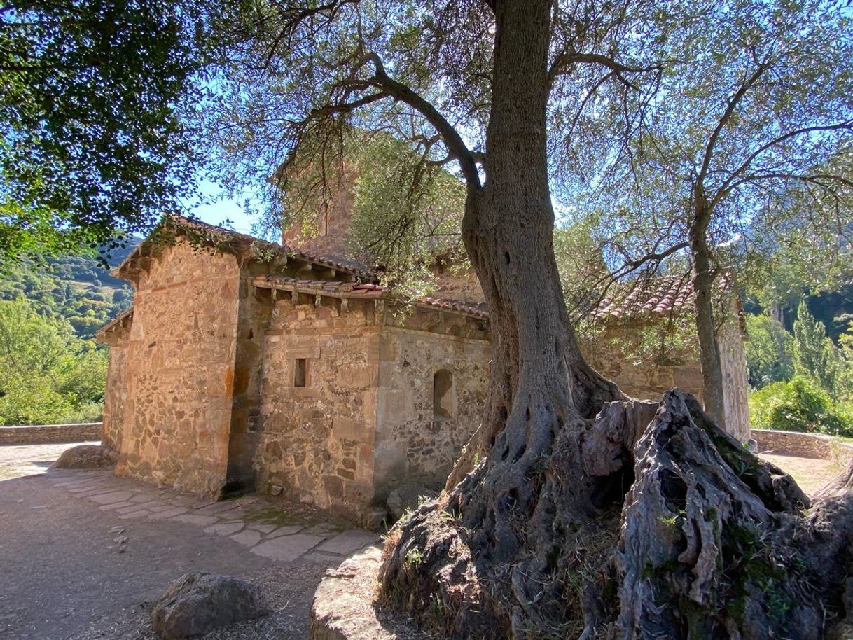 Place Iglesia de Santa María de Lebeña