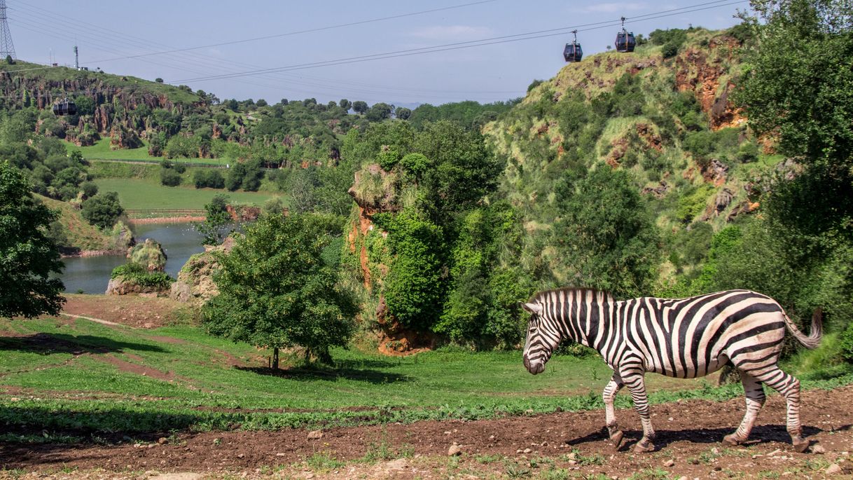 Lugar Parque de la Naturaleza de Cabárceno