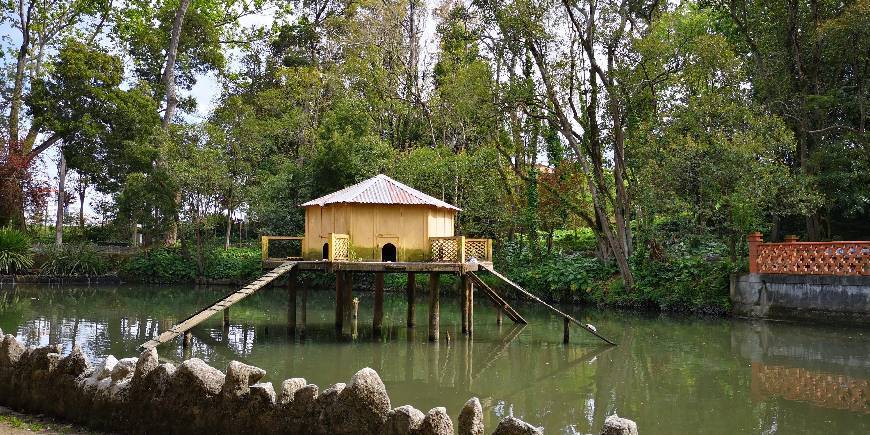 Place Parque da Macaca