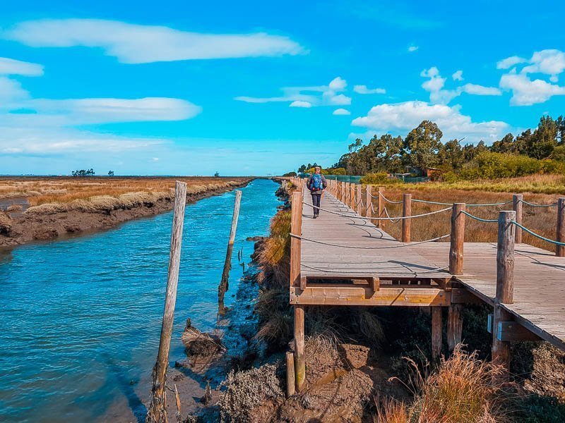 Lugar Passadiços da Ria de Aveiro