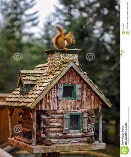 Casa para Esquilo