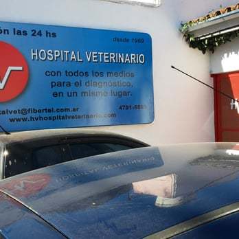 Lugar HV HOSPITAL VETERINARIO 24 HORAS