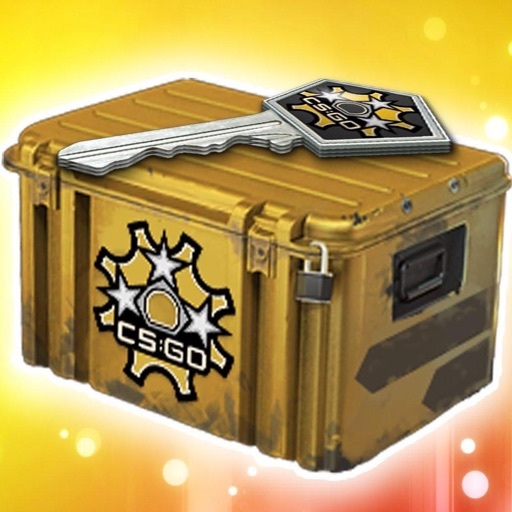 Case Simulator 3