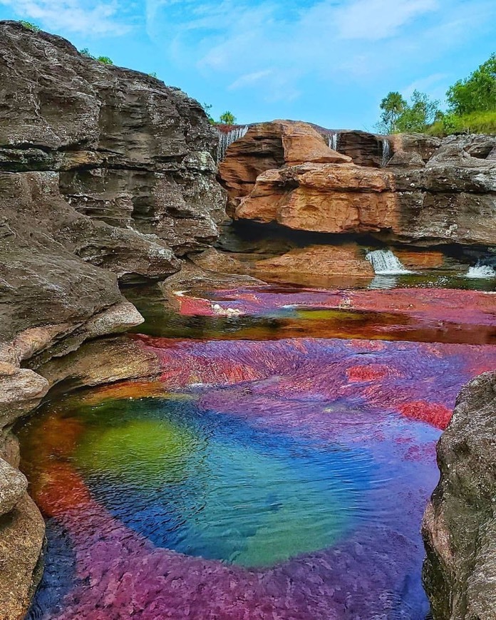 Place Caño Cristales