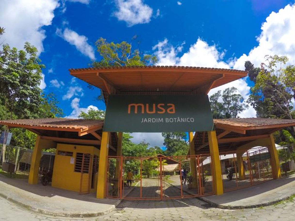 MUSA Museu da Amazônia