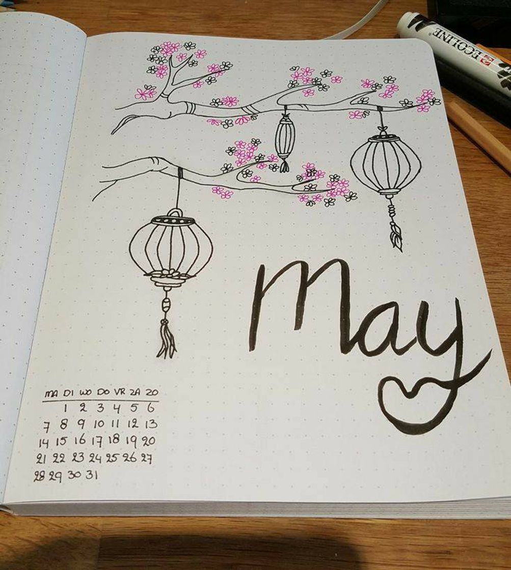 Social 👩‍🏫💇‍♀️