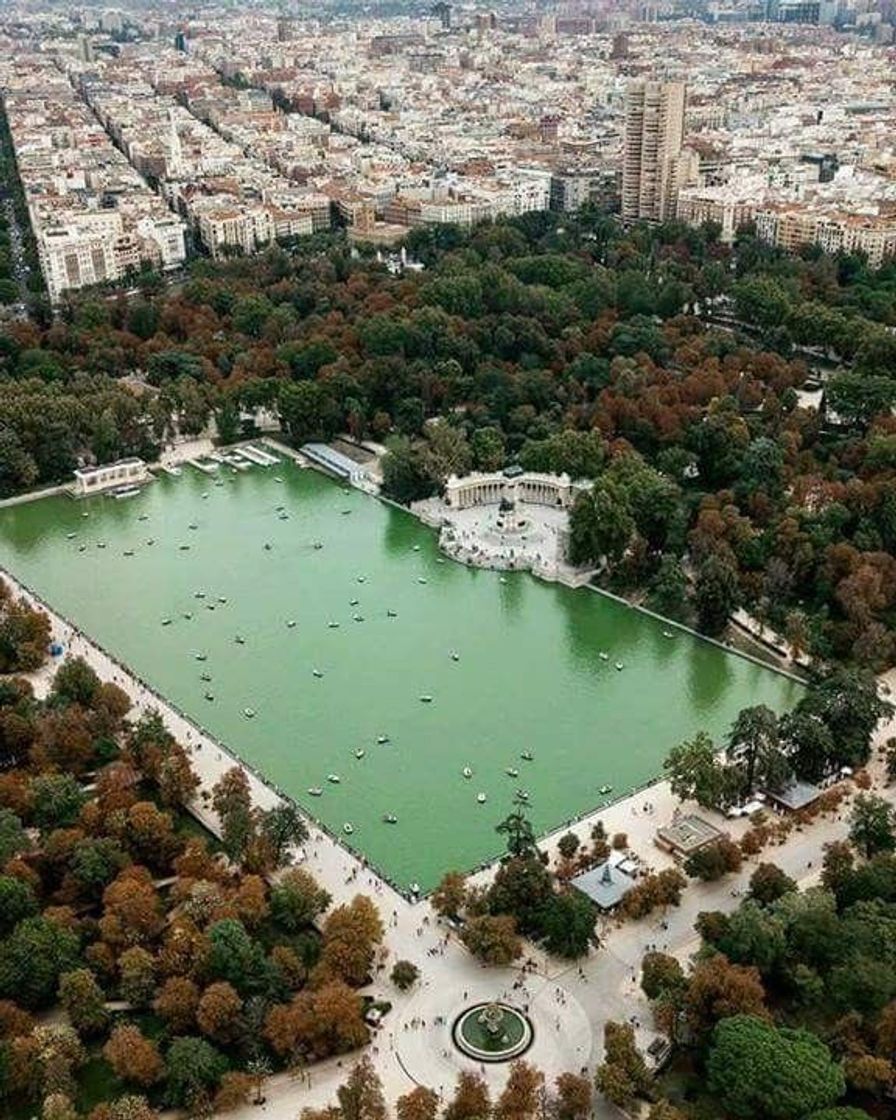 Place Parque El Retiro