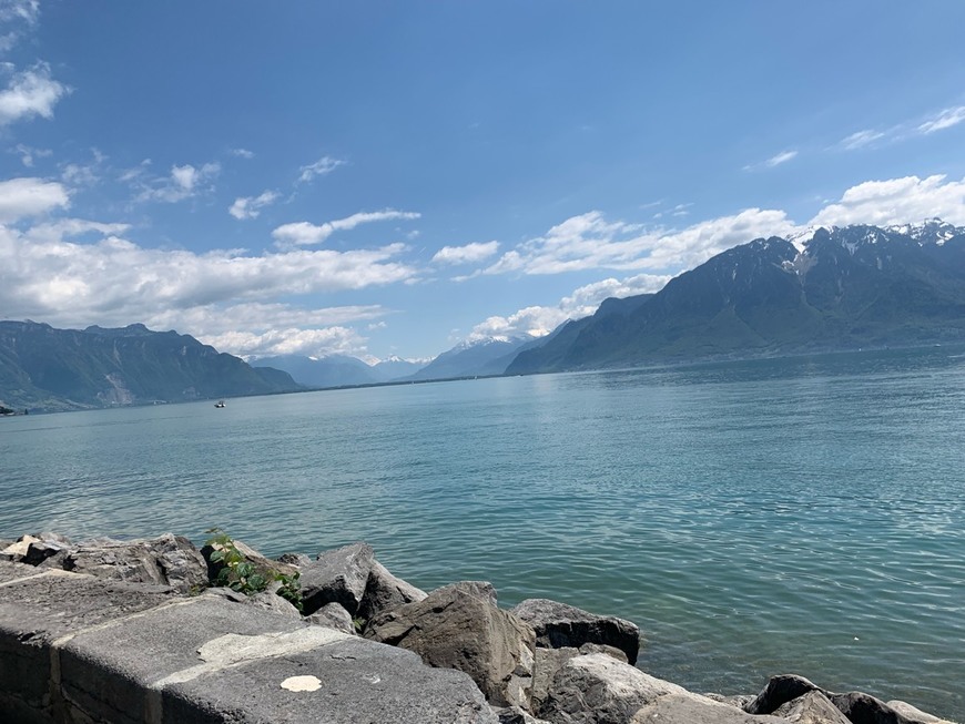 Place Vevey