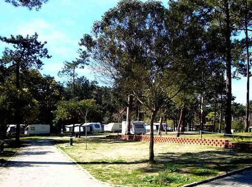 Parque de campismo Orbitur Caminha